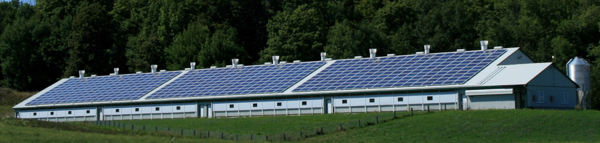 Stantech - fotowoltaika dla rolnictwa